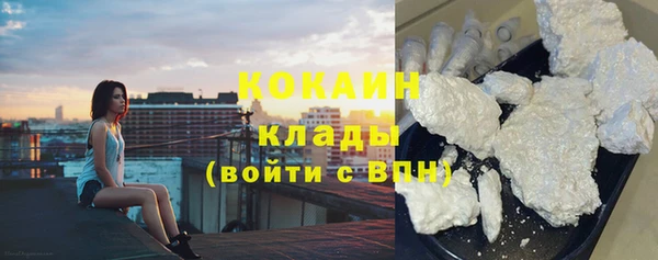 ГАЛЛЮЦИНОГЕННЫЕ ГРИБЫ Дегтярск