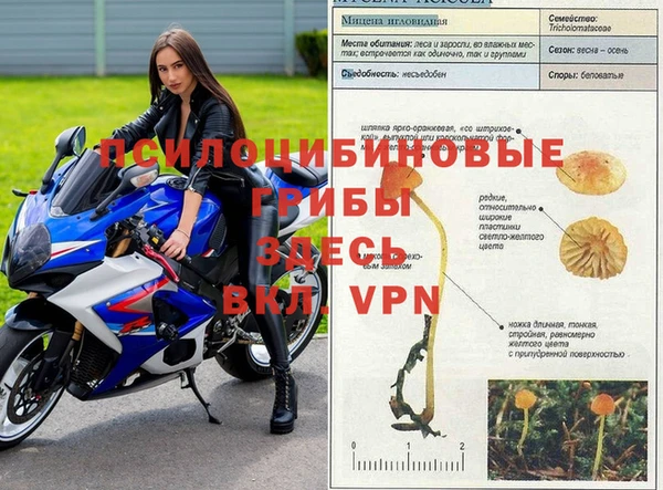 амфетамин Бородино