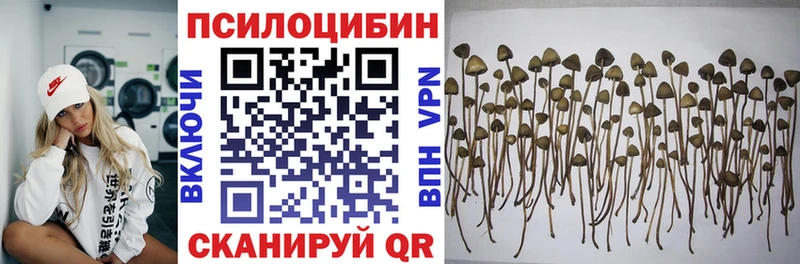 Псилоцибиновые грибы Psilocybe  Можайск 