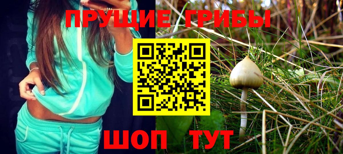 Можайск  Галлюциногенные грибы Psilocybine cubensis  Вход с VPN  где купить   Псилоцибиновые грибы мухоморы 